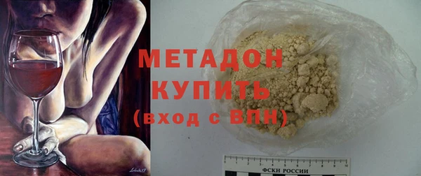шишки Горняк
