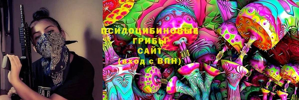 тгк Медвежьегорск