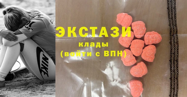 шишки Горняк