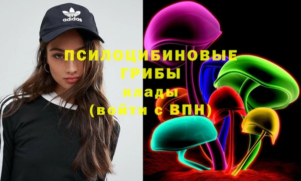 тгк Медвежьегорск