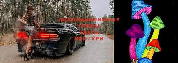 метадон Медногорск