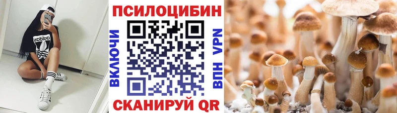 Галлюциногенные грибы MAGIC MUSHROOMS Гуково