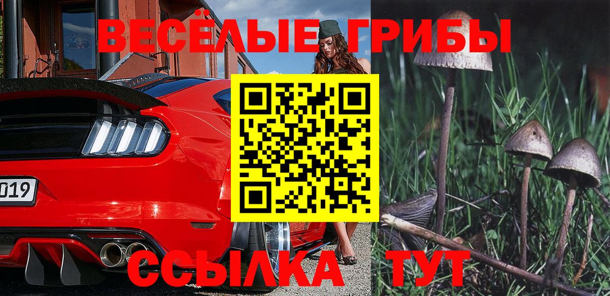 Галлюциногенные грибы MAGIC MUSHROOMS Гуково